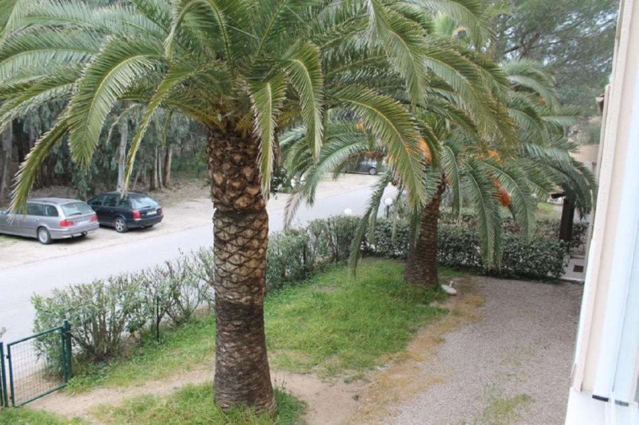 T2 Calvi Entierement Equipe A 150M De La Plage. מראה חיצוני תמונה